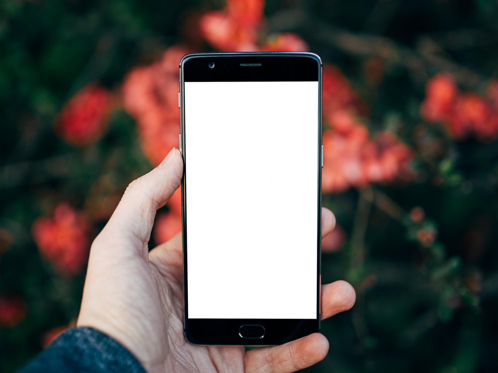 Mobile Mockup: last mobile